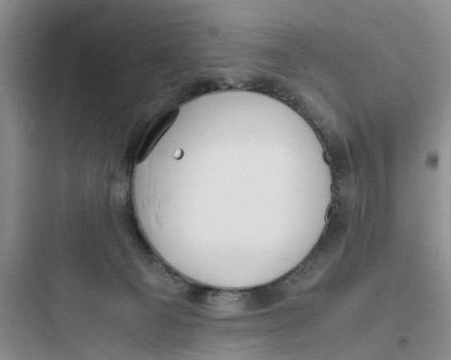 X0000097620129200803211754