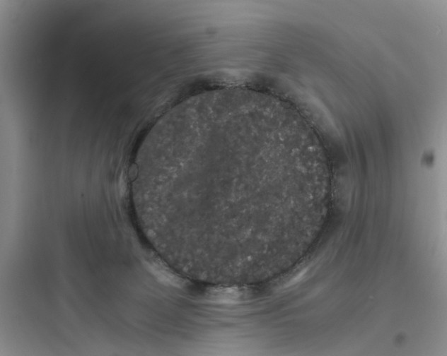 X0000097620131200803211754
