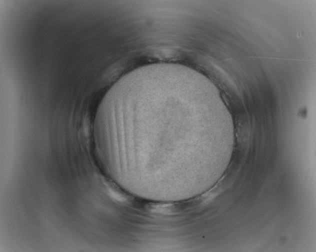 X0000097620132200803211754