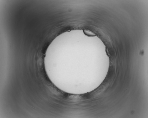 X0000097620133200803211754