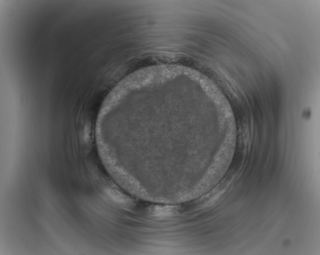 X0000097620134200803211754