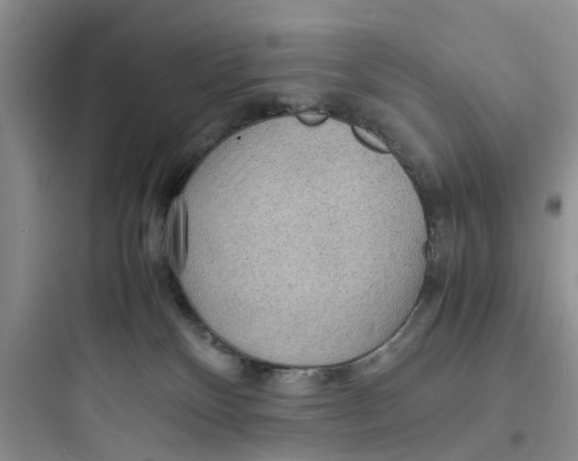 X0000097620136200803211754