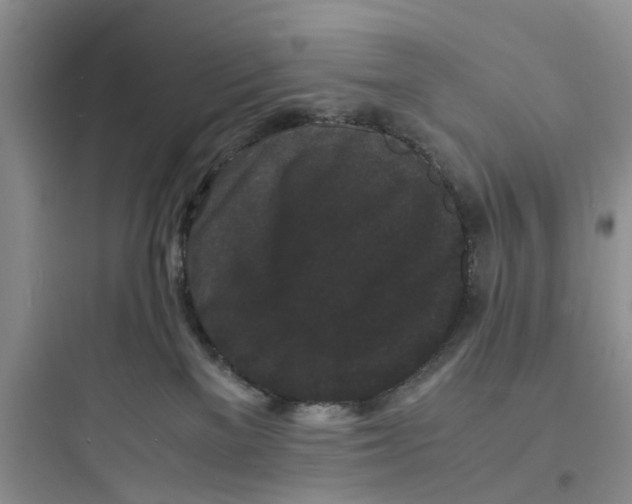 X0000097620137200803211754