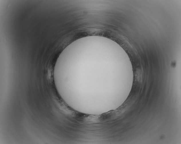X0000097620138200803211754