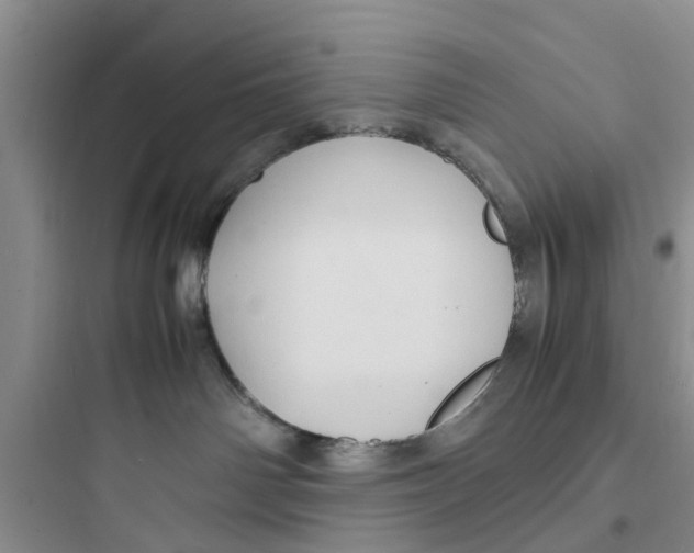 X0000097620142200803211754