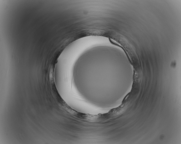 X0000097620143200803211754