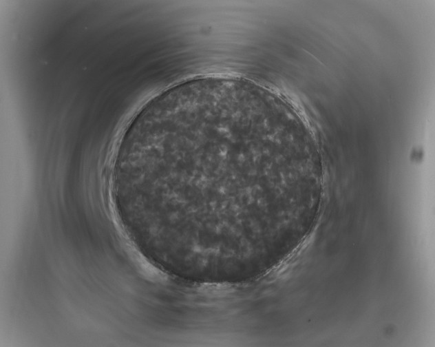 X0000097620145200803211753