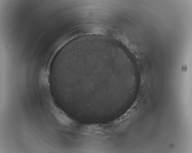 X0000097620146200803211753