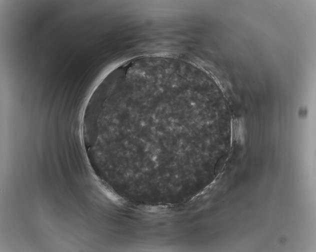 X0000097620147200803211753