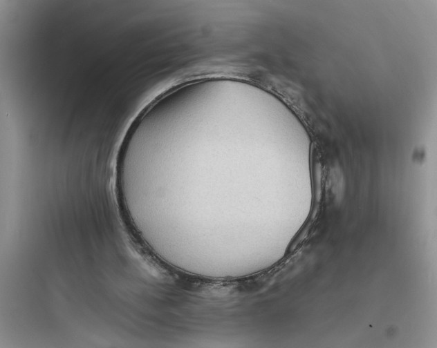 X0000097620148200803211753