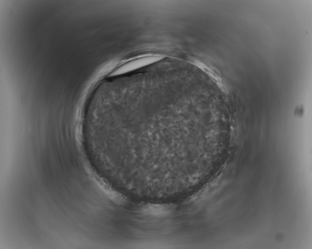 X0000097620149200803211753