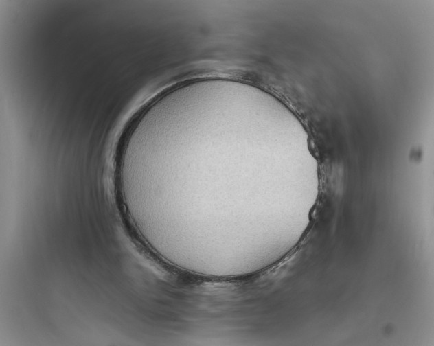 X0000097620150200803211753