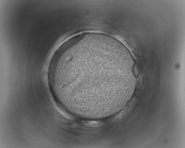X0000097620151200803211753