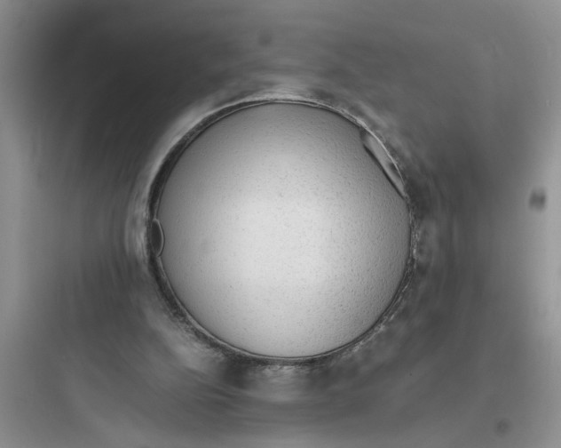 X0000097620152200803211753