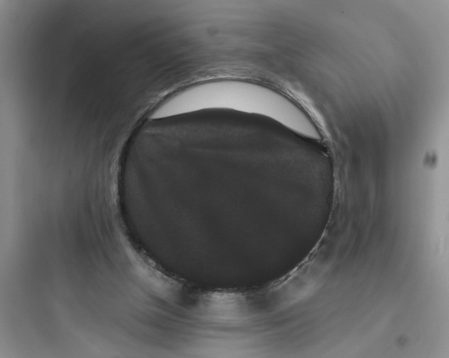 X0000097620154200803211753