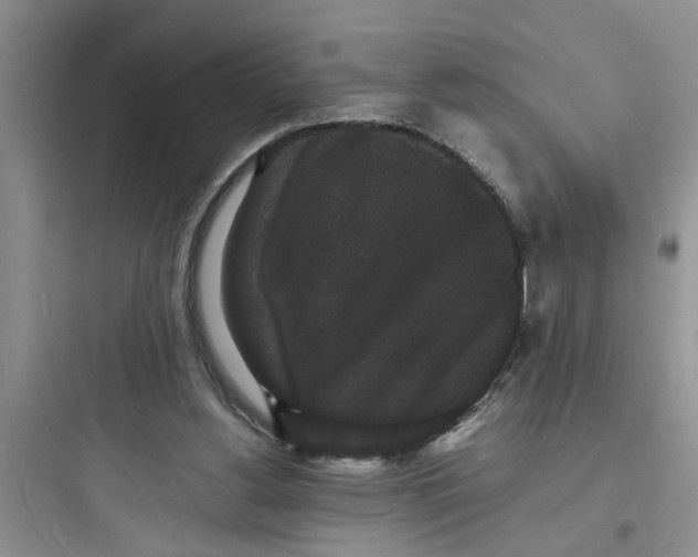 X0000097620156200803211754