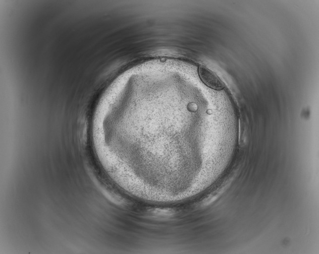 X0000097620157200803211754