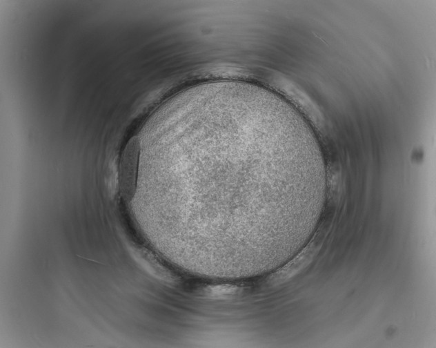 X0000097620158200803211754