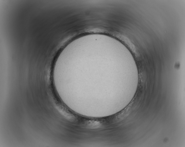 X0000097620159200803211754