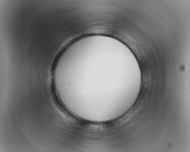 X0000097620160200803211754