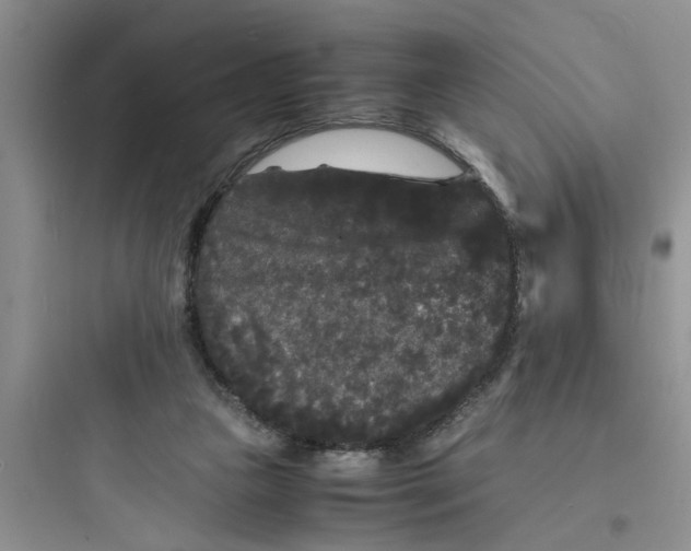 X0000097620161200803211754