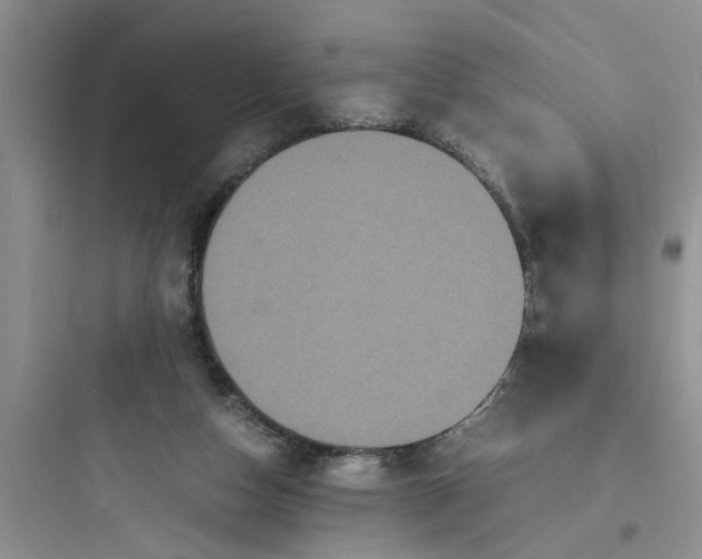 X0000097620162200803211754