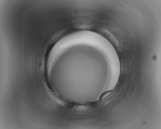 X0000097620163200803211754