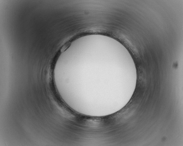 X0000097620164200803211754