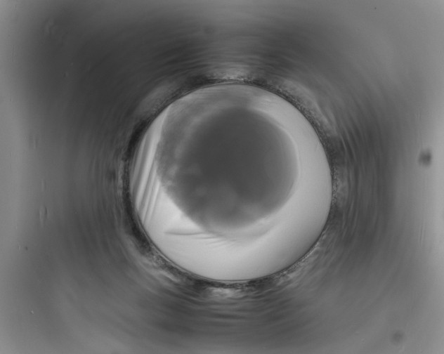 X0000097620167200803211754