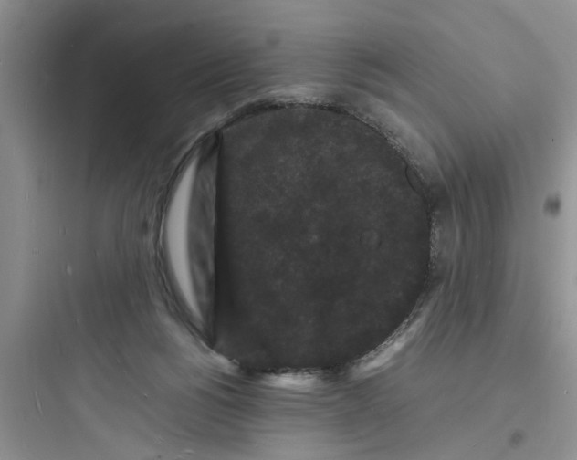 X0000097620168200803211754