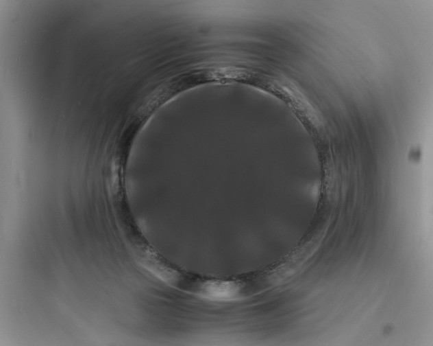 X0000097620169200803211754