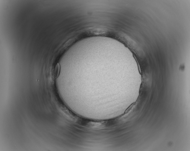 X0000097620170200803211754
