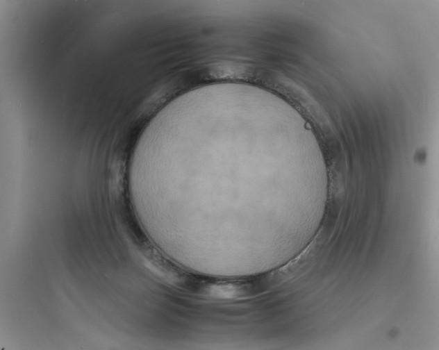 X0000097620171200803211754