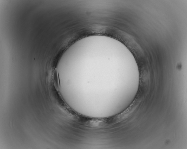 X0000097620172200803211754