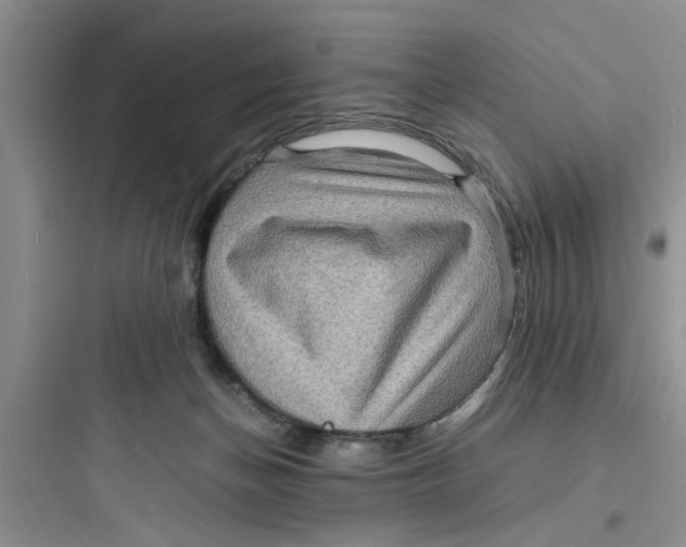 X0000097620174200803211754