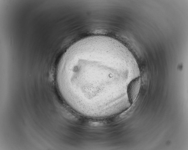X0000097620175200803211754
