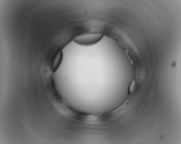 X0000097620176200803211754