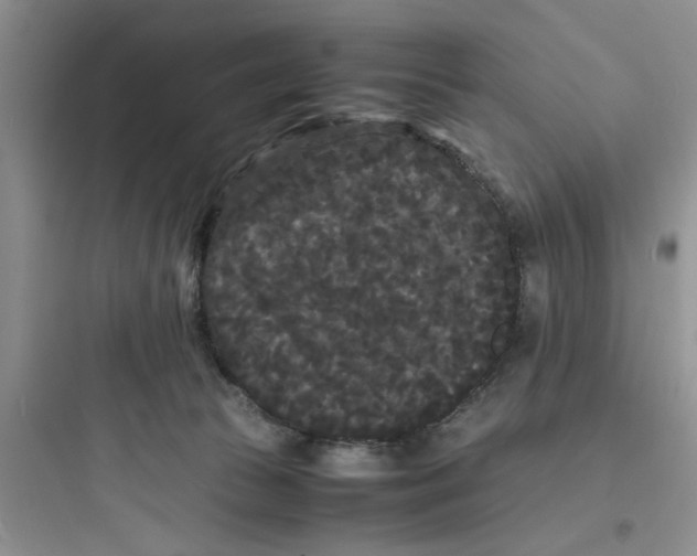 X0000097620177200803211754