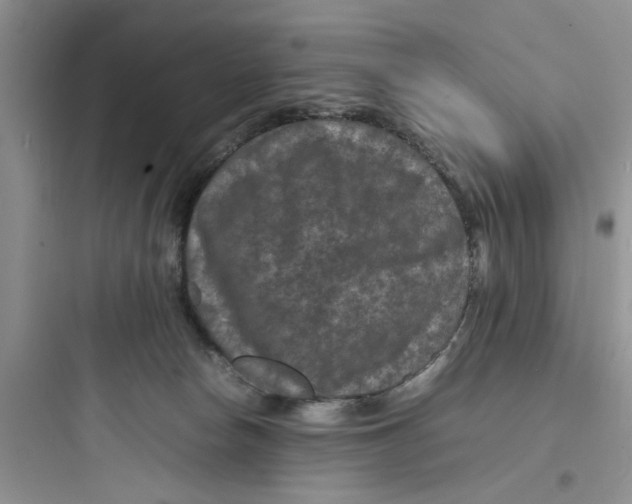 X0000097620178200803211754