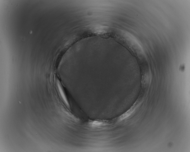 X0000097620180200803211754