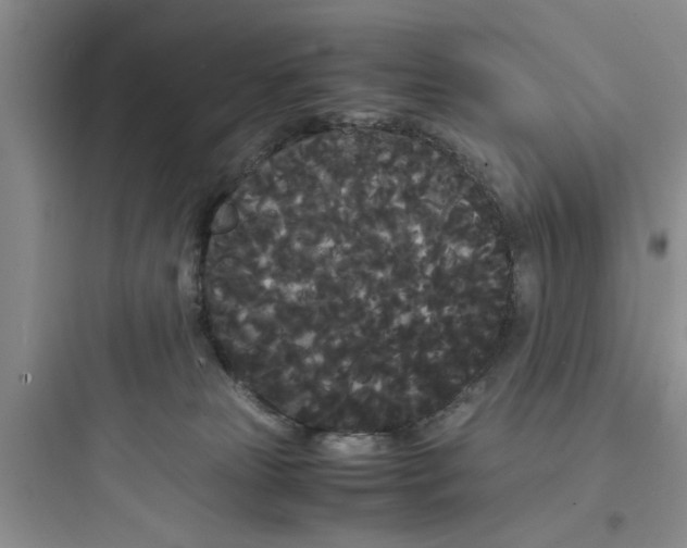 X0000097620181200803211754