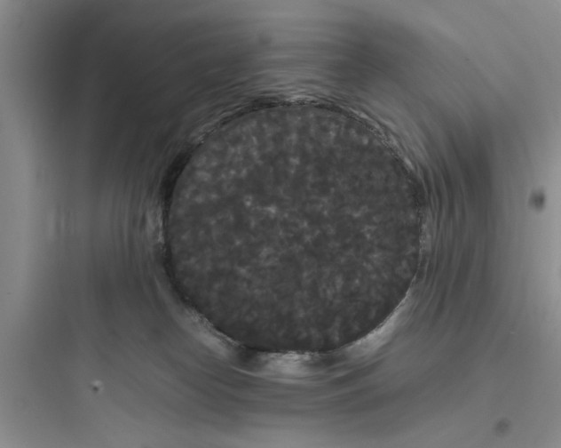 X0000097620182200803211754