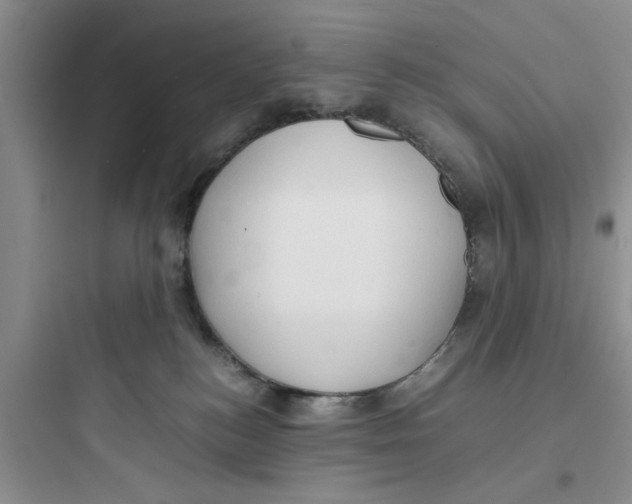 X0000097620184200803211754