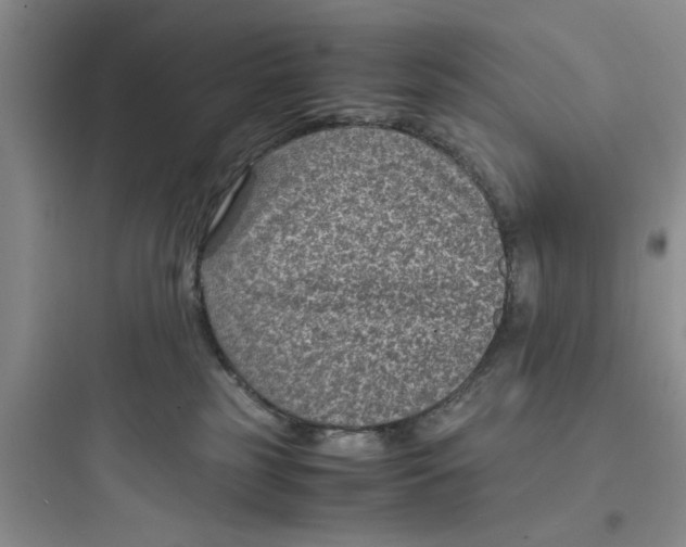 X0000097620185200803211754