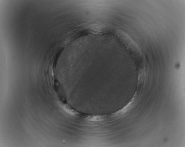 X0000097620186200803211754