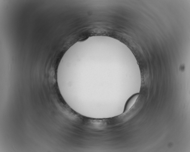 X0000097620187200803211754