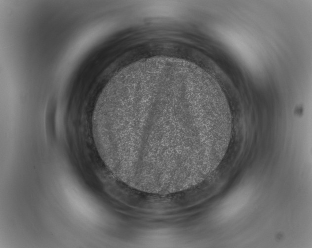 X0000097620189200803211754