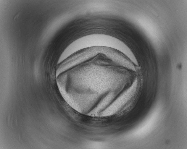 X0000097620190200803211754