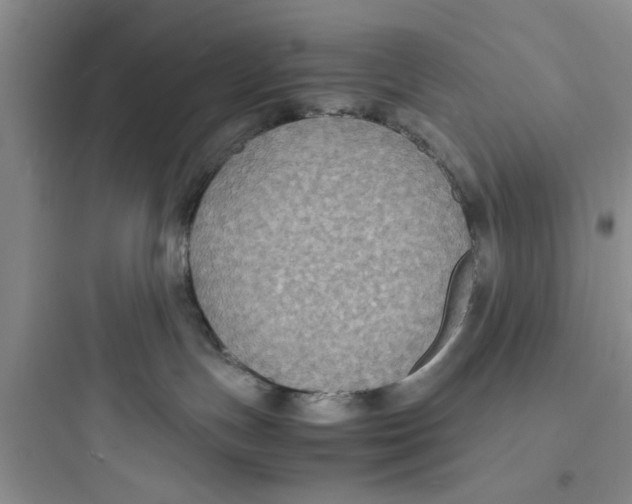 X0000097620191200803211754