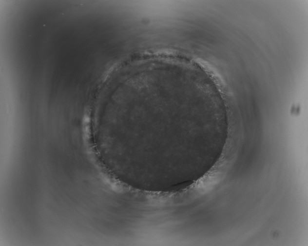 X0000097620192200803211754